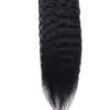 Maleisische maagdelijke haar kanten sluiting 2x6 Sluitingen Middendeel Kinky Kinky Kinky Kinky Rechte menselijk haar diep krullend lichaamsgolf 10-24inch