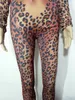 Tuta sottile femminile sexy con stampa leopardata Pagliaccetti mostra abbigliamento da palcoscenico DS Costumi di ruolo Discoteca Bar Cantante di feste Abbigliamento da spettacolo Cosplay