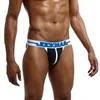 Sous-vêtements pour hommes, slips Sexy, tongs, pochette en coton Gay, sous-vêtements respirants, Sissy t-back, culottes masculines, slips g-string