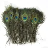 مواد زخرفية أنيقة حقيقية طاووس ريشة ريش جميل حوالي 25 إلى 30 سم الشحن HJ170