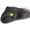 Paquete grueso brasileño grueso de la armadura del pelo de Yaki Kinky 100g Paquetes de cabello humano Yaki Straight10 "-26" Cabello no Remy