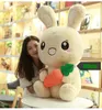 Mignon lapin en peluche oreiller poupée géant dessin animé carotte lapin jouets oreiller de couchage pour fille cadeau d'anniversaire décoration 85 cm 120 cm DY52338041