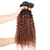 4Pcs Human Hair Ombre Weave Bundles Kinky Curly Brazilian Virgin Hair T 1B 30 Two Tone Color Ombre Medium Auburn Hair Extension2213131