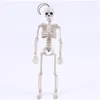 Creepy Crafts Posable Skeleton Halloween Decoration - DIY Colorful Happy Party Decor, Scary Man Bone Accent Piece