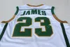 Irish St. Vincent Mary Maglie Uomo Basketball High School LeBron James Maglie 23 Uomo Verde Bianco Trasferta Sport di squadra Traspirante Alta qualità