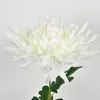 Моделирование хризантемы поддельные цветок для гостиной украшения сада искусственный цветок не увядает букет завод Прямые продажи 2 3hy BB