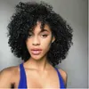 Cabelo brasileiro quente Afro curto kinky Curly Peruca Simulação Cabelo Humano encaracolado perucas cheias em grande estoque