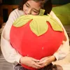 Câlin doux bande dessinée fraise en peluche oreiller grande bourrée anime rouge rose fruits coussin coussin décoration 20 pouces 50 cm