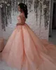 Elegante Scoop Neck Quinceanera Tulle Appliques Ball Gowns Sweep Party Party Princess Dresses com renda para trás BC0289