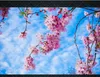 Custom photo 3d ceiling murals wallpaper Flowering blue sky painting 3d wall murals wallpaper for walls 3d