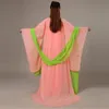 Ny Hot Fashion Classical Dance Dress Ancient Chinese Elegant Kostym Kläder Fairy Tang Suit Hanfu Etniska Kläder Chiffon Klänningar