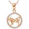 Zeldzaam 12 Zodiac Aries Taurus Gemini Kanker Leo Virgo Libra Scorpius Boogschutter Capricornus Aquarius Vissen Pisces Hanger Gouden Ketting ChKN1047