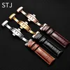 STJ Calfskin Leather Watchband Size in 16mm 18mm 19mm 20mm 21mm 22mm Watch Band med Butterfly Buckle for Watch Strap2431