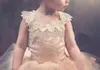 Ball Gown Lace Flower Girls Dresses Toddler Tutu Cheap Cap Sleeve Cross Back Puffy Little Girls Kid First Communion Dresses