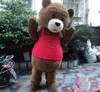 2018 Factory Direct Sale anpassad Bear Mascot Costume Teddy Bear Mascot kostym Vuxen storlek gratis frakt!