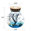 Aquário LED Marimo Kit - Frasco De Vidro Globo com 2 Aquático Moss Ball Azul Seixos De Vidro Fã Filial De Coral E Conchas Mesa De Escritório Mesa De Decoração