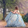 Sky-Mavi Yürümeye Başlayan Kızlar Pageant Elbise Jewel Boyun Kolsuz Kabarık Kızlar Pageant Elbise Peri 3D Çiçek Aplikler Çiçek Kız Elbise