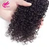 8A Grade Brasiliansk Kinky Curly Virgin Human Hair Weave 3 Bundles Obehandlade Deep Curly Hair Extensions Natural Black Kan färgas alla färger