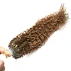 Extensiones de cabello Micro Bead 100g Micro Anillo Loop Extensiones de cabello Kinky Curly Hair Extension Human 100s 10 "-26"