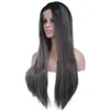 Cheap Long 2 Tones Synthetic Lace Front Wig Gray Grey Silver Ombre Hand Tied Silky Straight Wigs Dark Roots Heat Resistant Fiber H198n