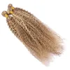 Virgin Peruaanse Piano Kleur Menselijk Haar Weave Bundels Kinky Krullend # 27/613 Piano Gemengde Human Hair Extensions Two Tone Ombre Hair Bundle Deals