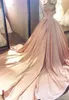Pink Quinceanera sukienka księżniczka Aplikacje gorsetowe Back 16 wieki długie dziewczyny na imprezę Pageant Pageant Plus Size Custom3879009