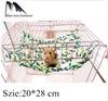 hammock de hamster