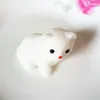 Squishy Cat Аксессуары Для Телефонов Kawaii Мини Мягкие Мягкие Мягкие Животные Ручной Сожмите Игрушки Смешные 37