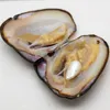 2022 Natural Freshwater Irregular Pearl Natural Color Personals Prevels و Oyster Vacuum Package Grack