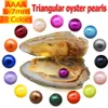 Wholesale vacuum packaged freshwater pearl oysters, pearl color 18# purple, a total of 28 colors (free shipping)