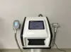 체중 감소를위한 판매 / 극저온 치료 한 Cryolipolysis 아름다움 기계 휴대용 한 Cryolipolysis 감기 치료 바디 조각 기계