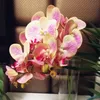 Real Touch Orchid Flower Fake Pink Cymbidium PU 3D PLant Orchids Phalaenopsis Orchids for Artificial Decorative Flowers5442284