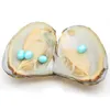 Austern aus natürlichen Süßwasserperlen, 6–8 mm, 4 Stück, Nr. 3, himmelblau, in dreieckiger Austern-Vakuumverpackung, Überraschungsgeschenk für die Familie