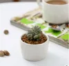 240 pz vasi bonsai in ceramica interi mini vasi da fiori in porcellana bianca fornitori per la semina di piante succulente per interni casa vivaio219g