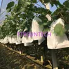 1000pcs / lot sac de raisin anti-oiseaux anti-humidité contrôle des fruits protection sacs tela sac à moustiques de raisins nanch porta bustine LX0245