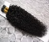 Estensioni dei capelli ricci di colore naturale con punta a punta 100g 1gstrand Pre Bonded Fusion Hair I Tip Stick Cheratina Capelli Remy doppi disegnati Extensi4079758