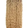 Extensions de cheveux à anneau bouclé Nano Micro Loop 1g / s 300g Fusion de cheveux humains bouclés Cheveux naturels Remy