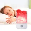 USB Salt Lamp Portable Design Colorful Changing Crystal Light Natural Himalayan Touch Switch Brightness Adjustable Bedroom Night Light