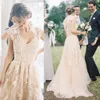 블러셔 - 샴페인 롱 웨딩 드레스 섹시한 V 넥 풀 레이스 아플리크 Reem Acra Tulle Bridal Gowns 빈티지 컨트리 A 라인 웨딩 드레스