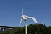 Neuer 400 W 12 V 24 V 5-Blatt-Windkraftgenerator auf dem Dach mit MPPT-Boost-Controller