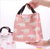 Sacs coolel flamant rose de dessin animé, sac à déjeuner de camping en plein air, pique-nique, sac de rangement portable pour boissons aux fruits, doublure en coton, sac isolé en aluminium