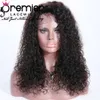 Premier Full Lace / Lace Front Human Hair Wig With Natural Hairline Pre-depened Indian Remy Hair 150% Density Loose Curly For American