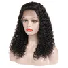 Kinky Curly Human Hair Spets Front Wigs With Baby Hair Brasilian Malaysian Peruansk Indian Mongolian Curly Virgin Hair Wigs For BLA219C