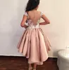Nuovi abiti da cocktail rosa 2019 Guaina posteriore trasparente Applicazioni maniche ad aletta Mini abiti da sera corti da ballo Abito da ritorno a casa su misura