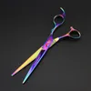 7 inch electroplating blackpurple lander scissors set with 4 pcs scissors combretail case and Hemostatic forceps5767796