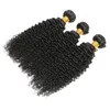 Malaisie afro kinkys cheveux bouclés 4 paquets de cheveux humains tisser la trame pour les femmes noires malaisiens malaisiens mongols mongolis serrés curl6228747