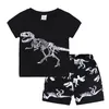 Meninos de dinossauros tenhas de impressão de dinossauros infantil tópicos Topshorts 2pcSset 2018 Summer Terne Boutique Kids Cloths Sets 15 Cores C45369752183