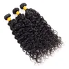 Peruansk 9a Human Hair Extensions 3 Bundlar Vattenvåg Mink Virgin Hair Weft 3pcs / Lot Naturalc Color 8-30Inch Water Weave