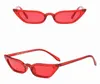 Sharp Cat Eye Women Sunglasses Slim Frame Woman Sun Eyeglasses UV400 Plastic Candy Colors Rim And Lenses Metal Hinge Good Quality