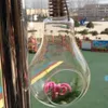 10pcs lampadina di vetro a forma di lampada fiore pianta acquatica vaso appeso contenitore casa coperta ufficio decorazioni di nozze (senza corda)